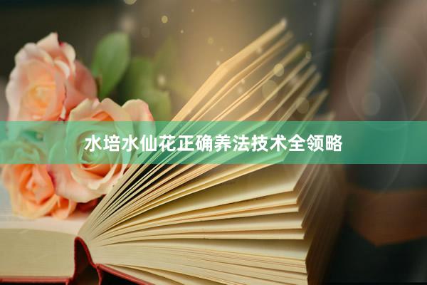 水培水仙花正确养法技术全领略
