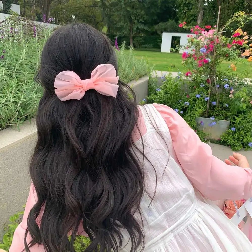 我手心里的玫瑰